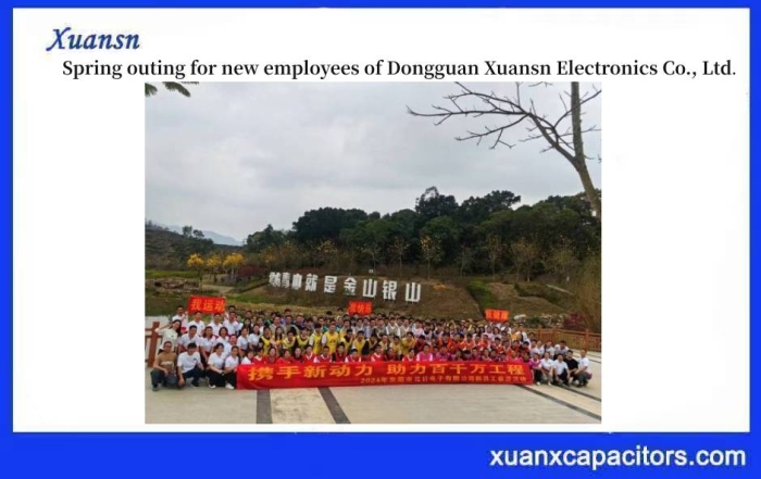 Xuansn Electronics