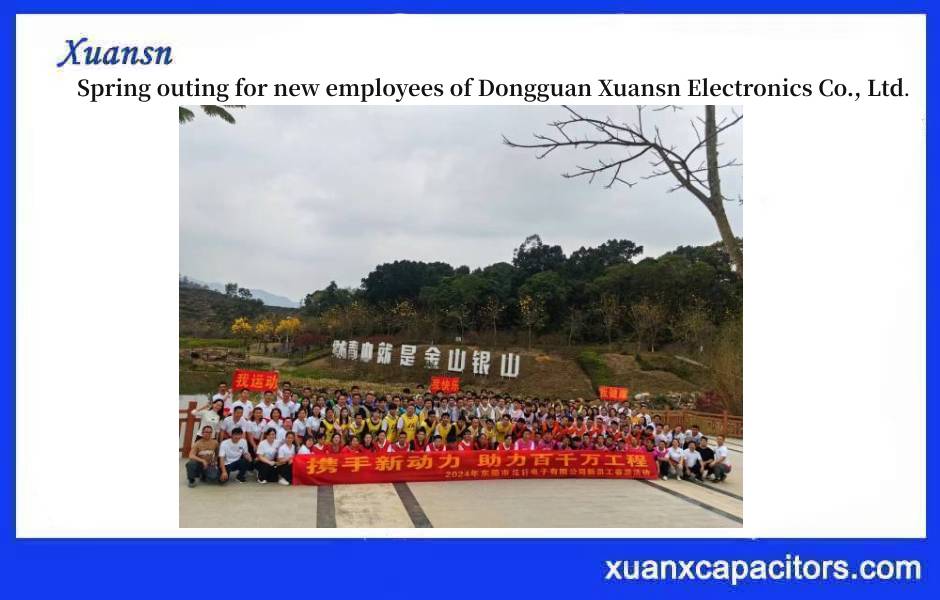 Xuansn Electronics
