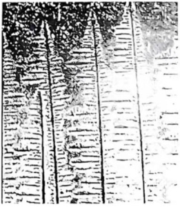 capacitor aluminum alloy